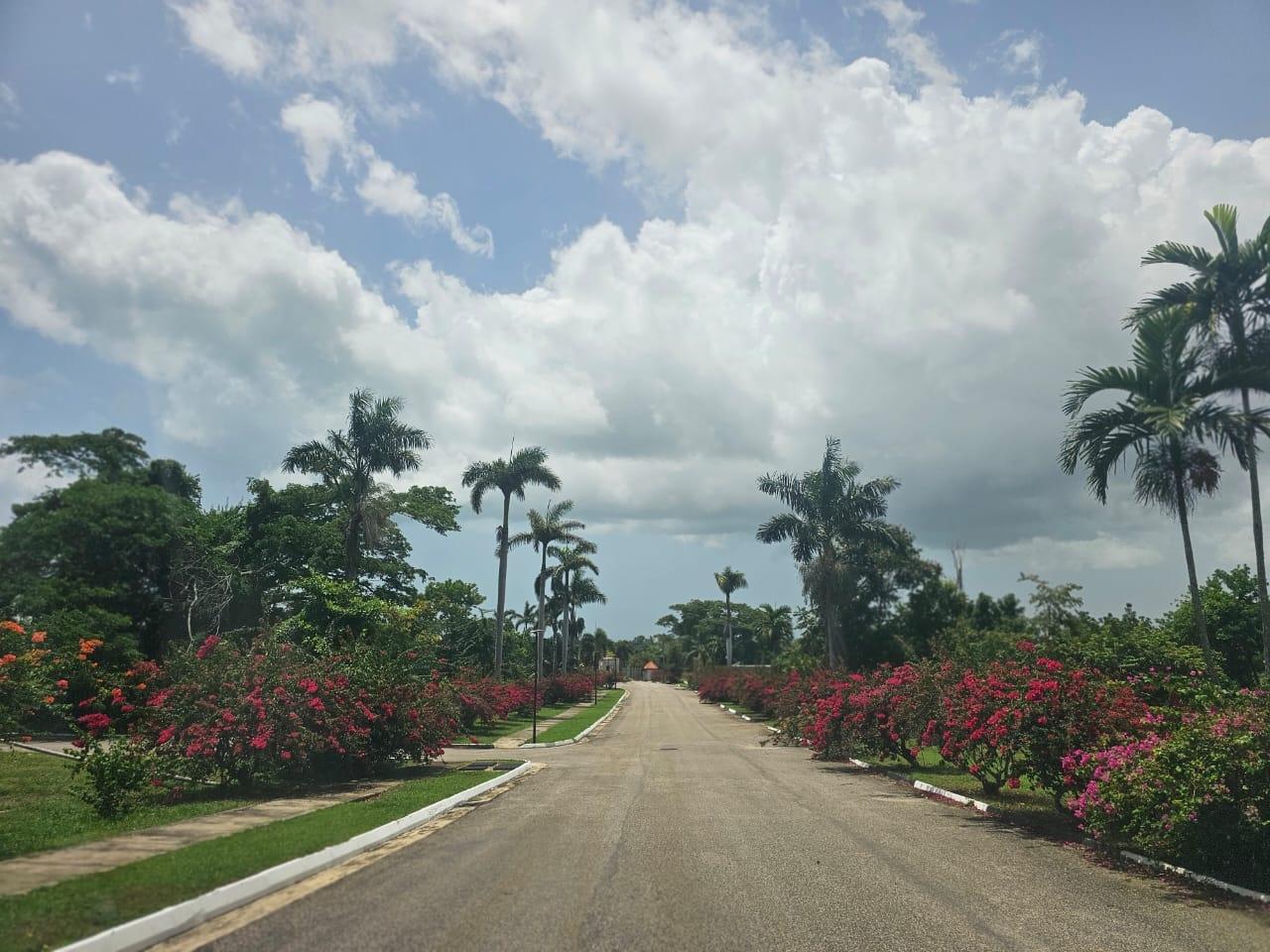 Twentieth image of 25 Negril Estate , Westmo in Whitehall, Westmoreland, Jamaica - property is For Sale