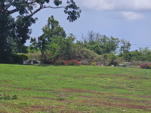 Twenty-Fourth image of 25 Negril Estate , Westmo in Whitehall, Westmoreland, Jamaica - property is For Sale