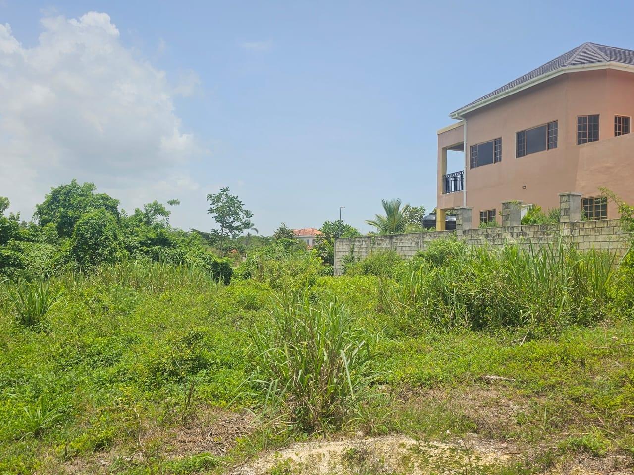Twenty-Fifth image of 25 Negril Estate , Westmo in Whitehall, Westmoreland, Jamaica - property is For Sale
