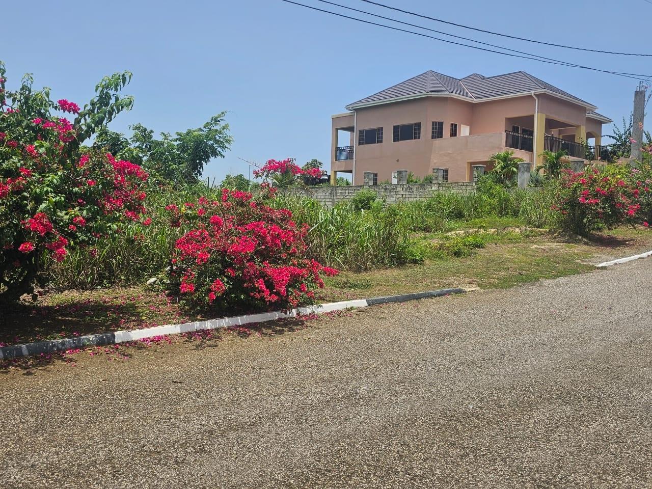 Fifth image of 25 Negril Estate , Westmo in Whitehall, Westmoreland, Jamaica - property is For Sale