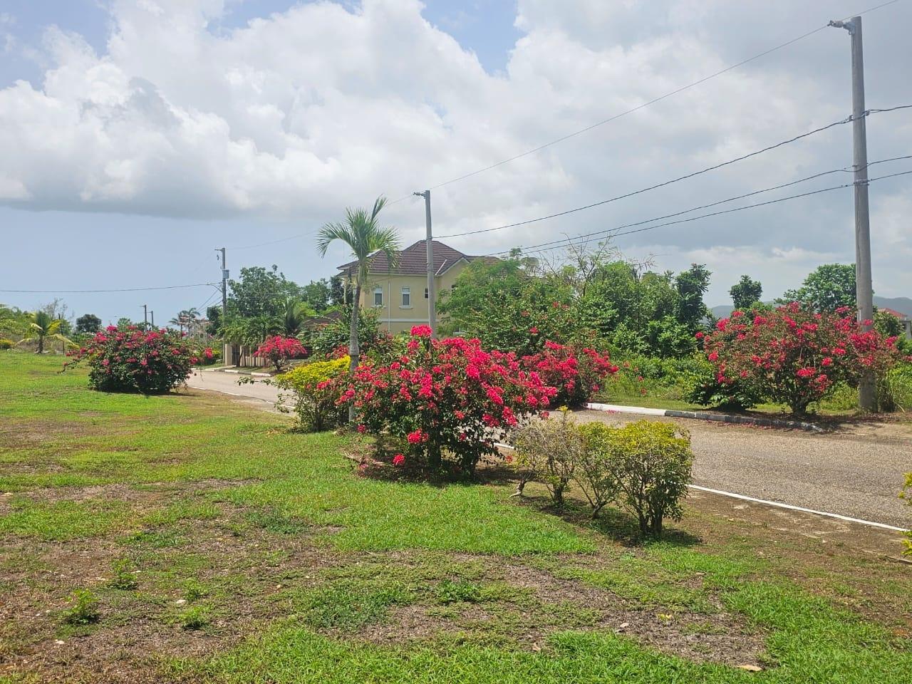 Sixth image of 25 Negril Estate , Westmo in Whitehall, Westmoreland, Jamaica - property is For Sale