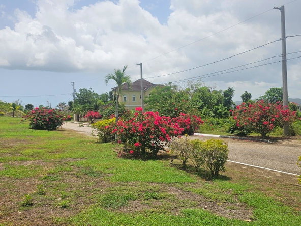 Sixth image of 25 Negril Estate , Westmo in Whitehall, Westmoreland, Jamaica - property is For Sale