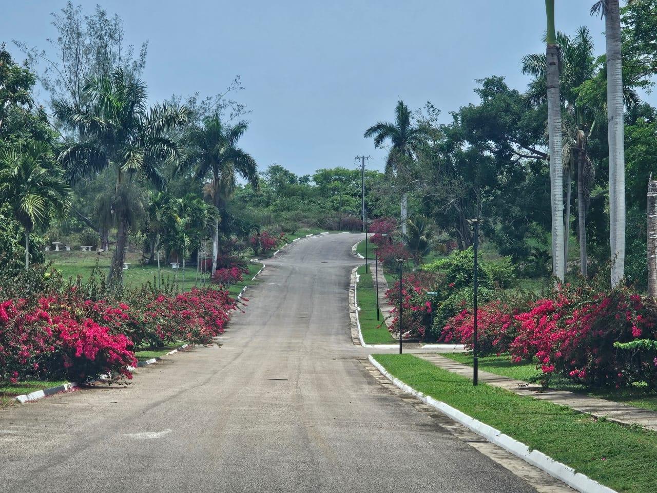 Eighth image of 25 Negril Estate , Westmo in Whitehall, Westmoreland, Jamaica - property is For Sale