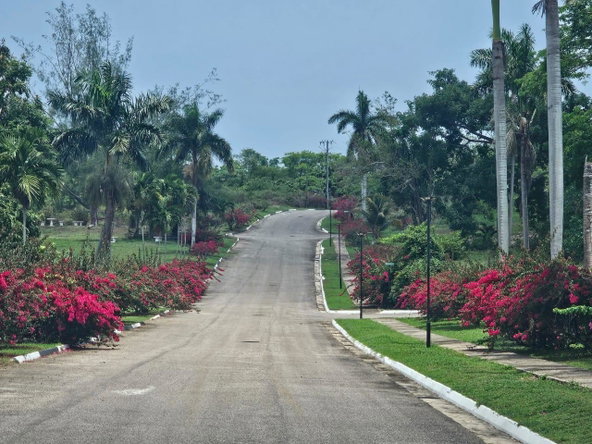 Eighth image of 25 Negril Estate , Westmo in Whitehall, Westmoreland, Jamaica - property is For Sale