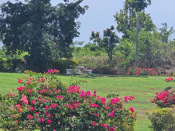Ninth image of 25 Negril Estate , Westmo in Whitehall, Westmoreland, Jamaica - property is For Sale
