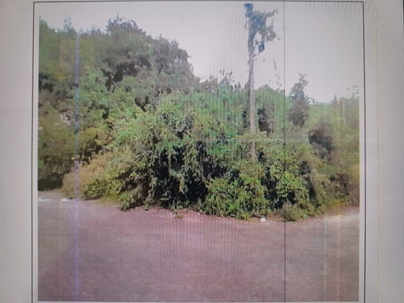First image of White Hall, Negril, Westm in Negril, Westmoreland, Jamaica - property is For Sale