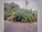 First image of White Hall, Negril, Westm in Negril, Westmoreland, Jamaica - property is For Sale