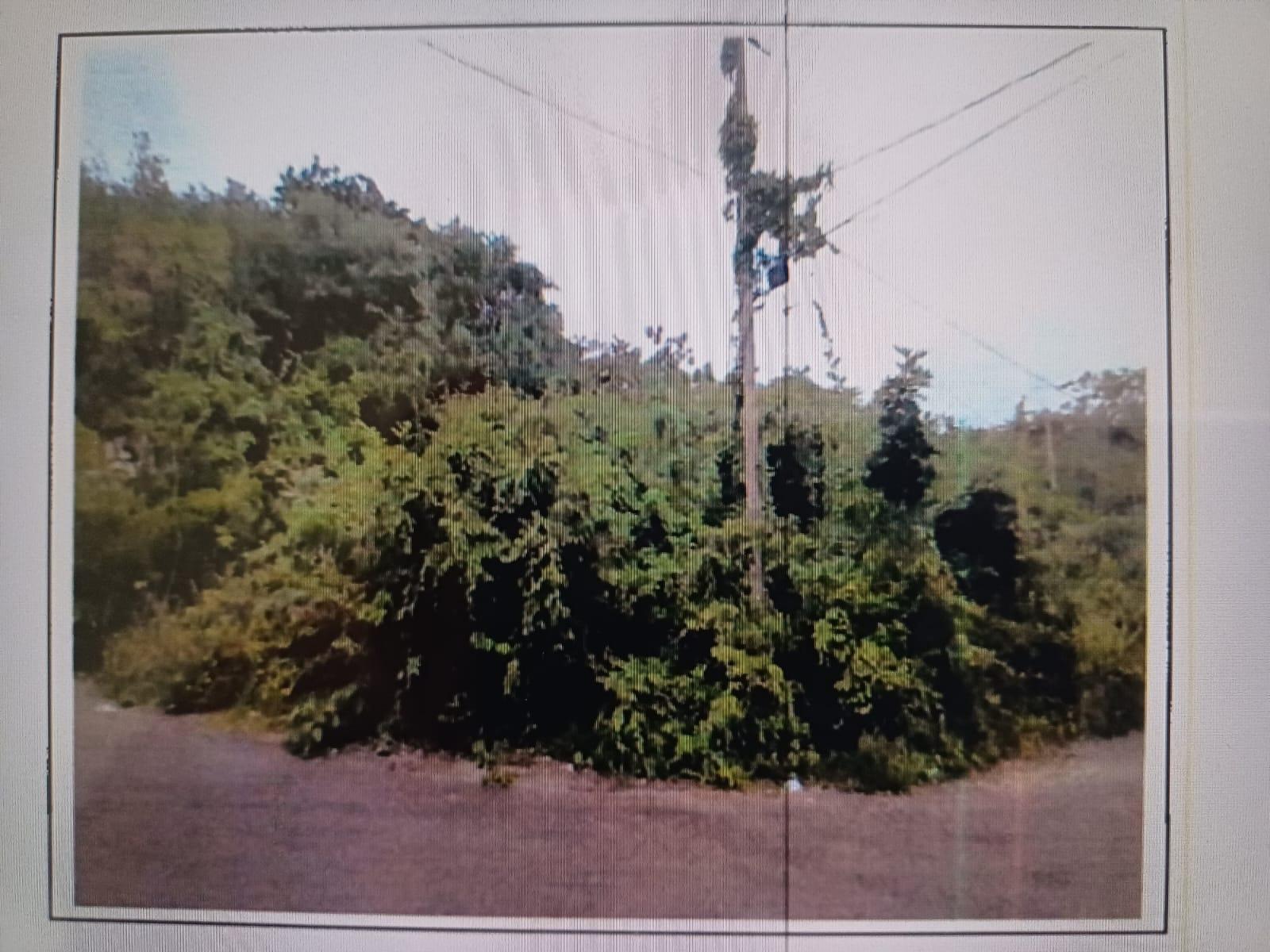 Second image of White Hall, Negril, Westm in Negril, Westmoreland, Jamaica - property is For Sale