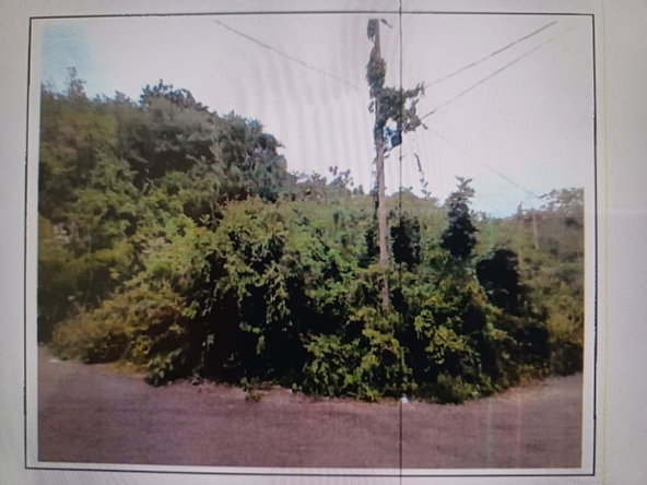 Second image of White Hall, Negril, Westm in Negril, Westmoreland, Jamaica - property is For Sale