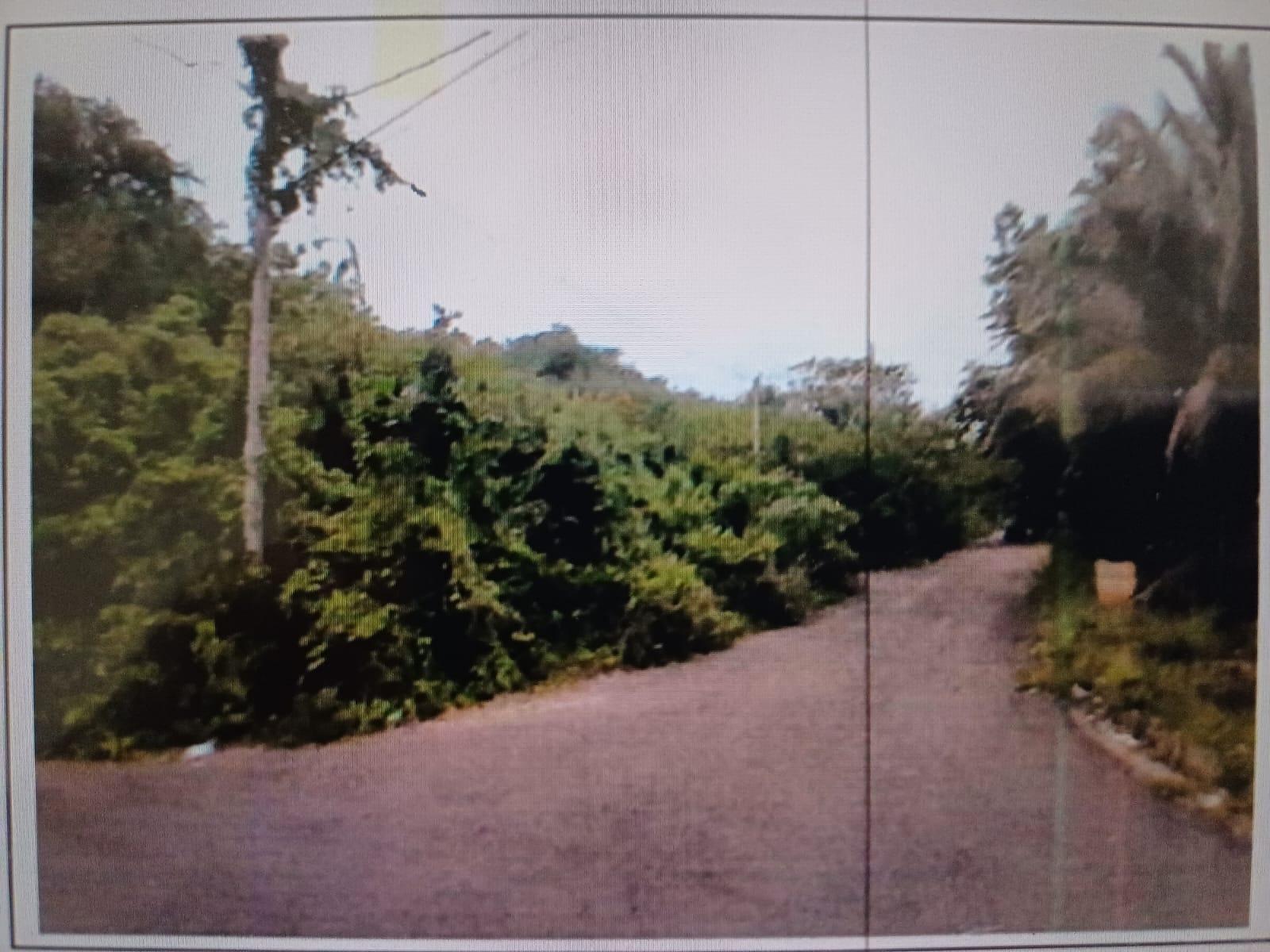 Third image of White Hall, Negril, Westm in Negril, Westmoreland, Jamaica - property is For Sale
