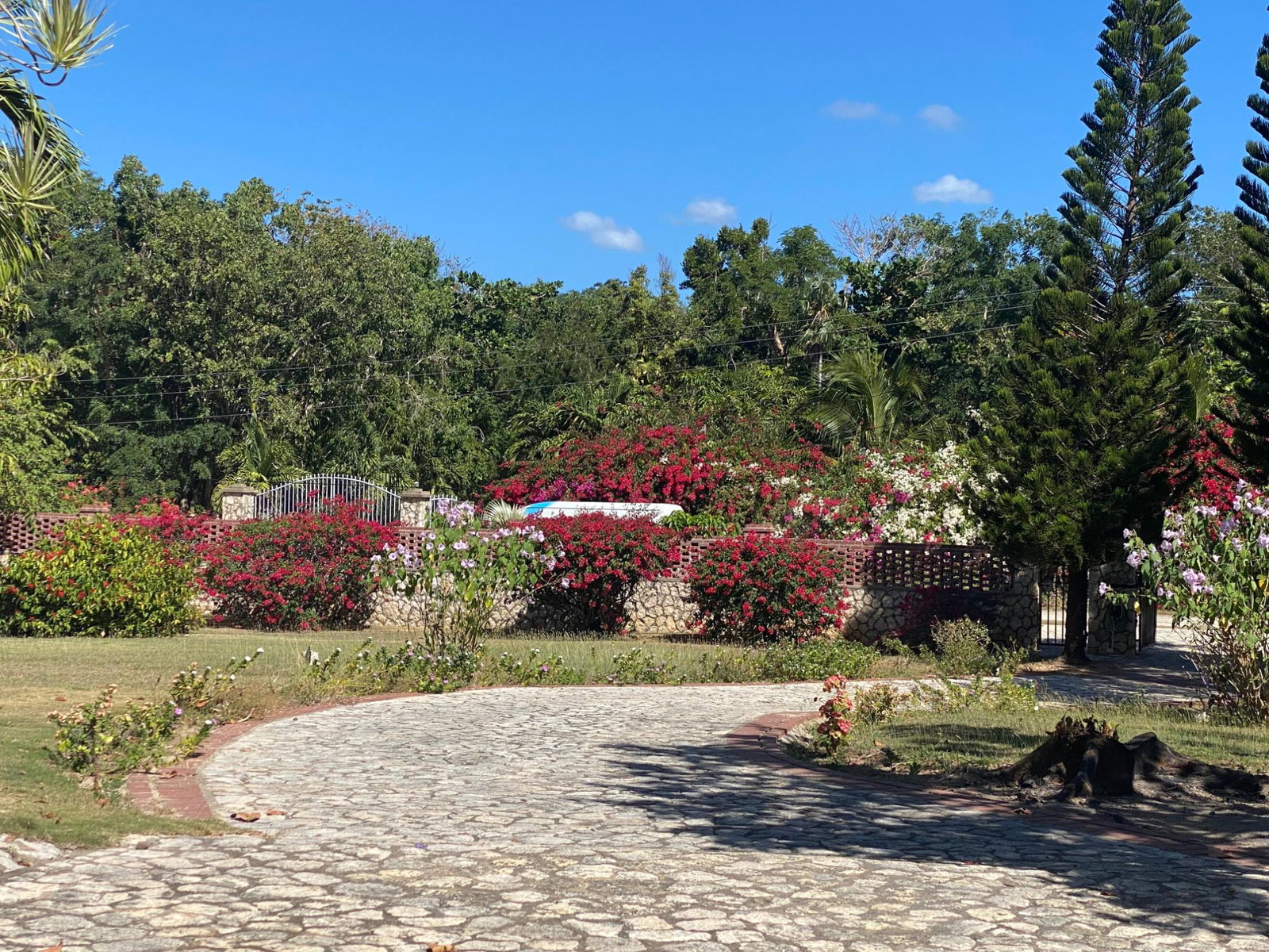 Twenty-Second image of 101 Part of Pitkelleney, Negr in Negril, Westmoreland, Jamaica - property is For Sale