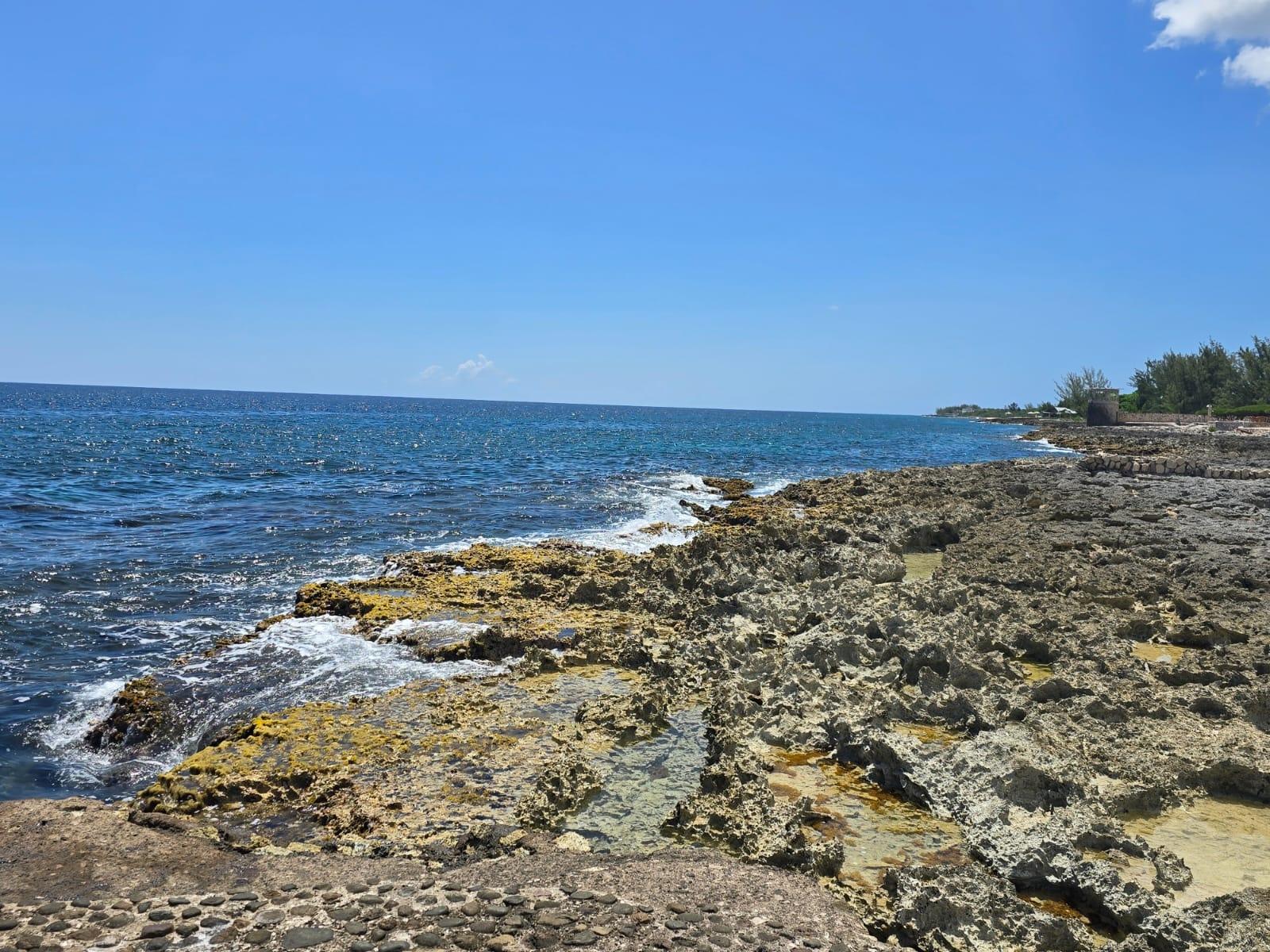 Twenty-Third image of 101 Part of Pitkelleney, Negr in Negril, Westmoreland, Jamaica - property is For Sale