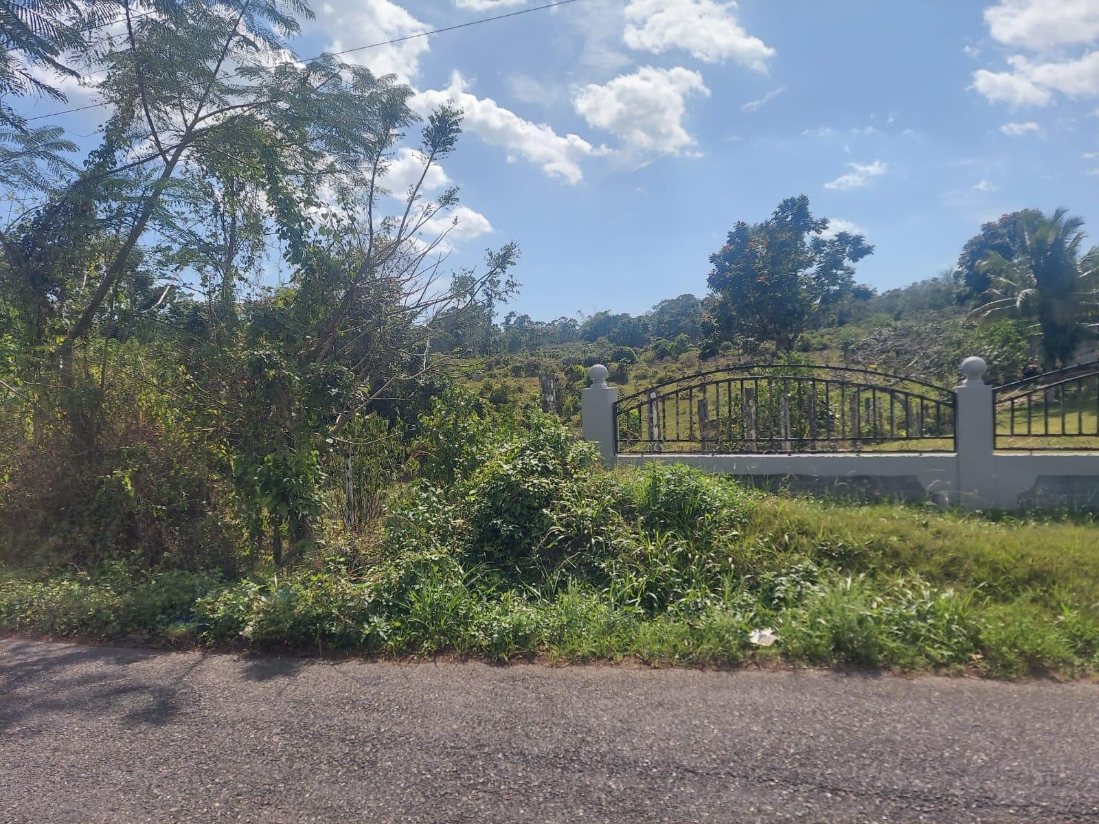 Second image of Windsor Forest Pen in Darliston, Westmoreland, Jamaica - property is For Sale