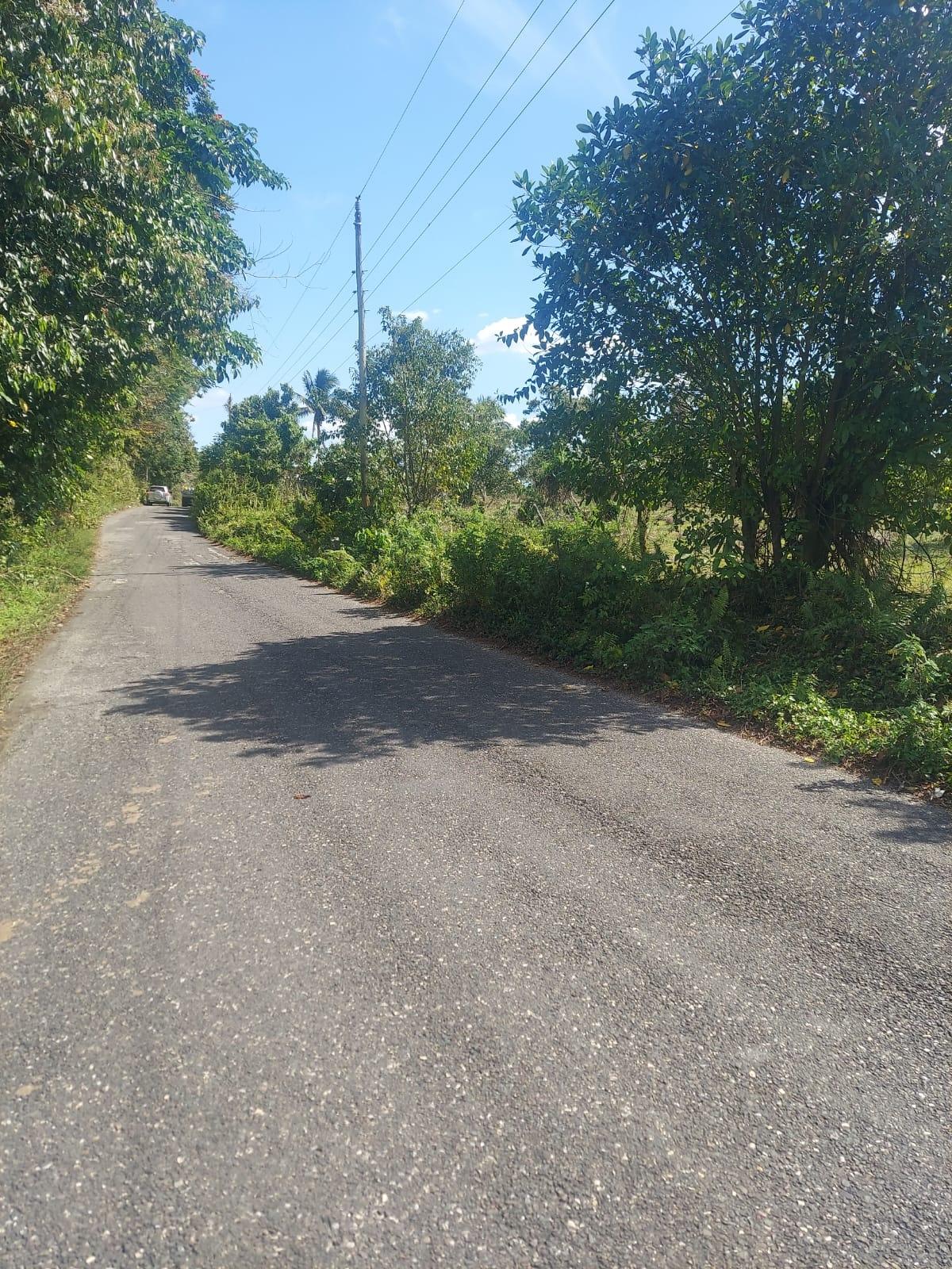 Third image of Windsor Forest Pen in Darliston, Westmoreland, Jamaica - property is For Sale