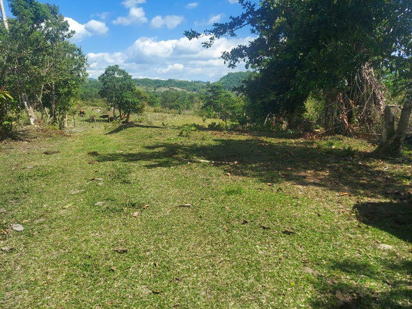 Fourth image of Windsor Forest Pen in Darliston, Westmoreland, Jamaica - property is For Sale
