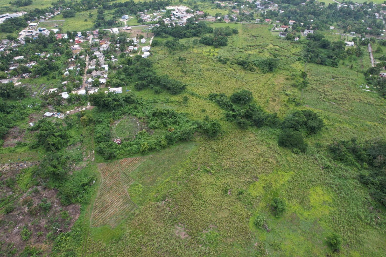 Sixth image of Littleworth in Georges Plain, Westmoreland, Jamaica - property is For Sale