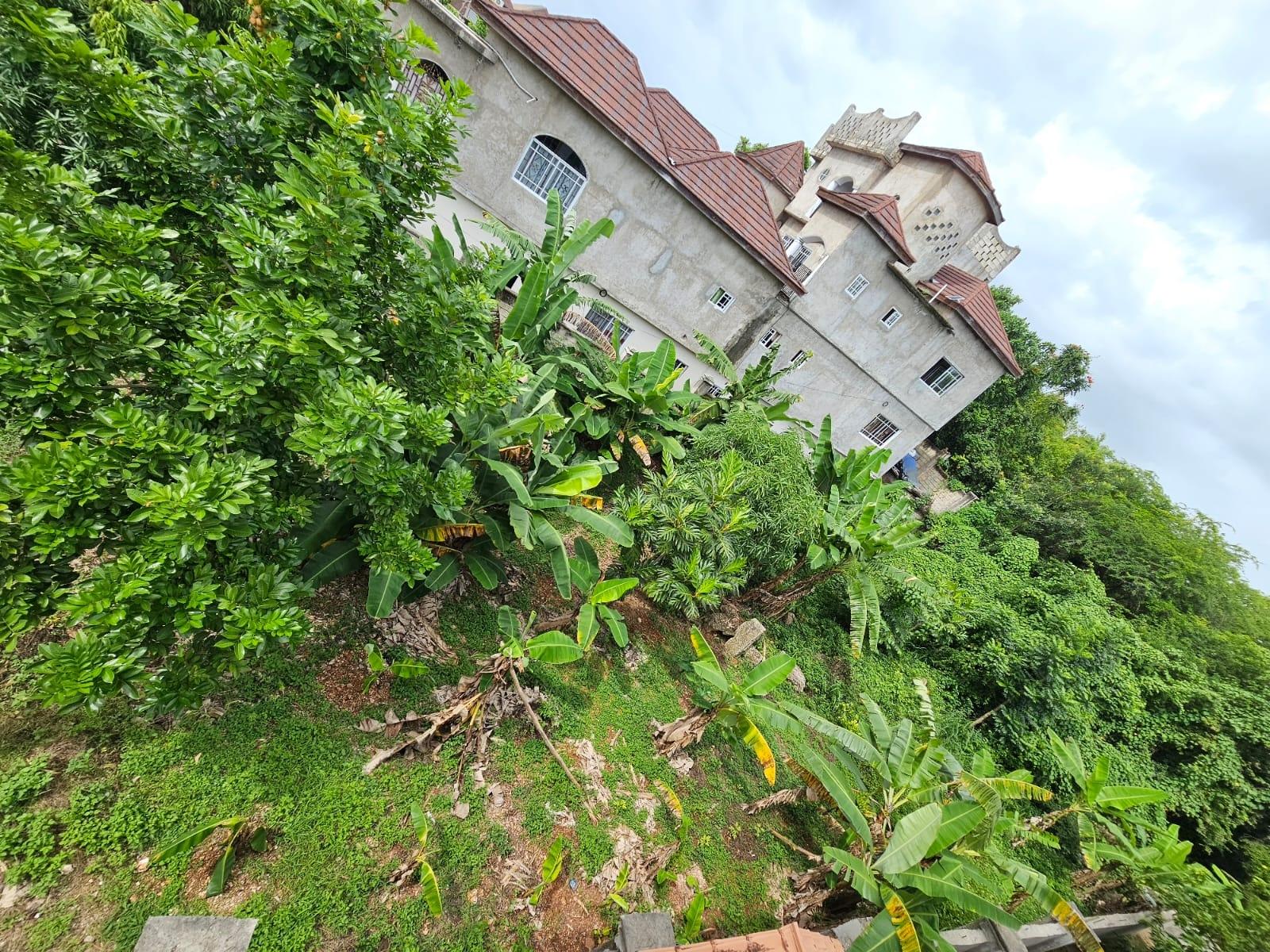 Seventh image of Whitehall, Negril in Negril, Westmoreland, Jamaica - property is For Sale