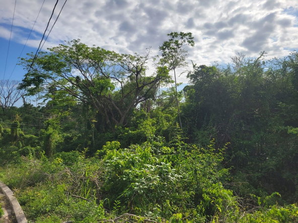 First image of 364 Culloden in Culloden, Westmoreland, Jamaica - property is For Sale