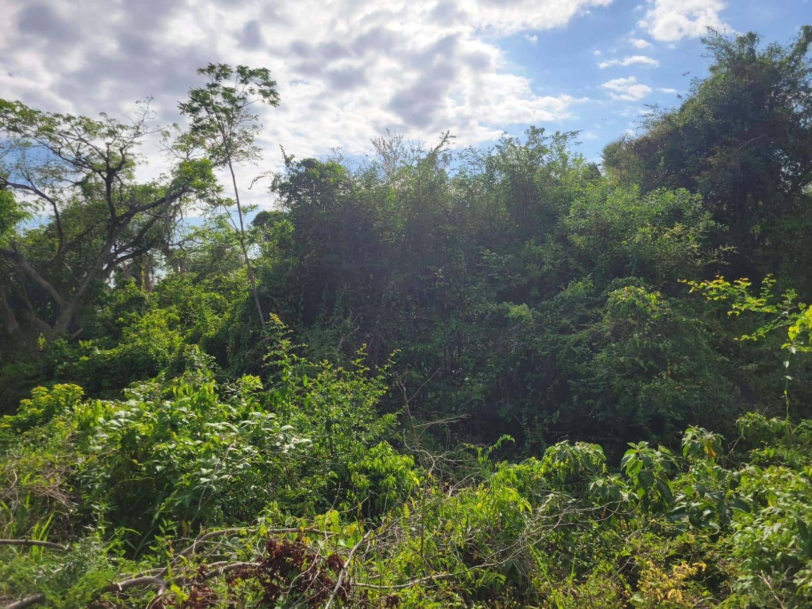 Second image of 364 Culloden in Culloden, Westmoreland, Jamaica - property is For Sale