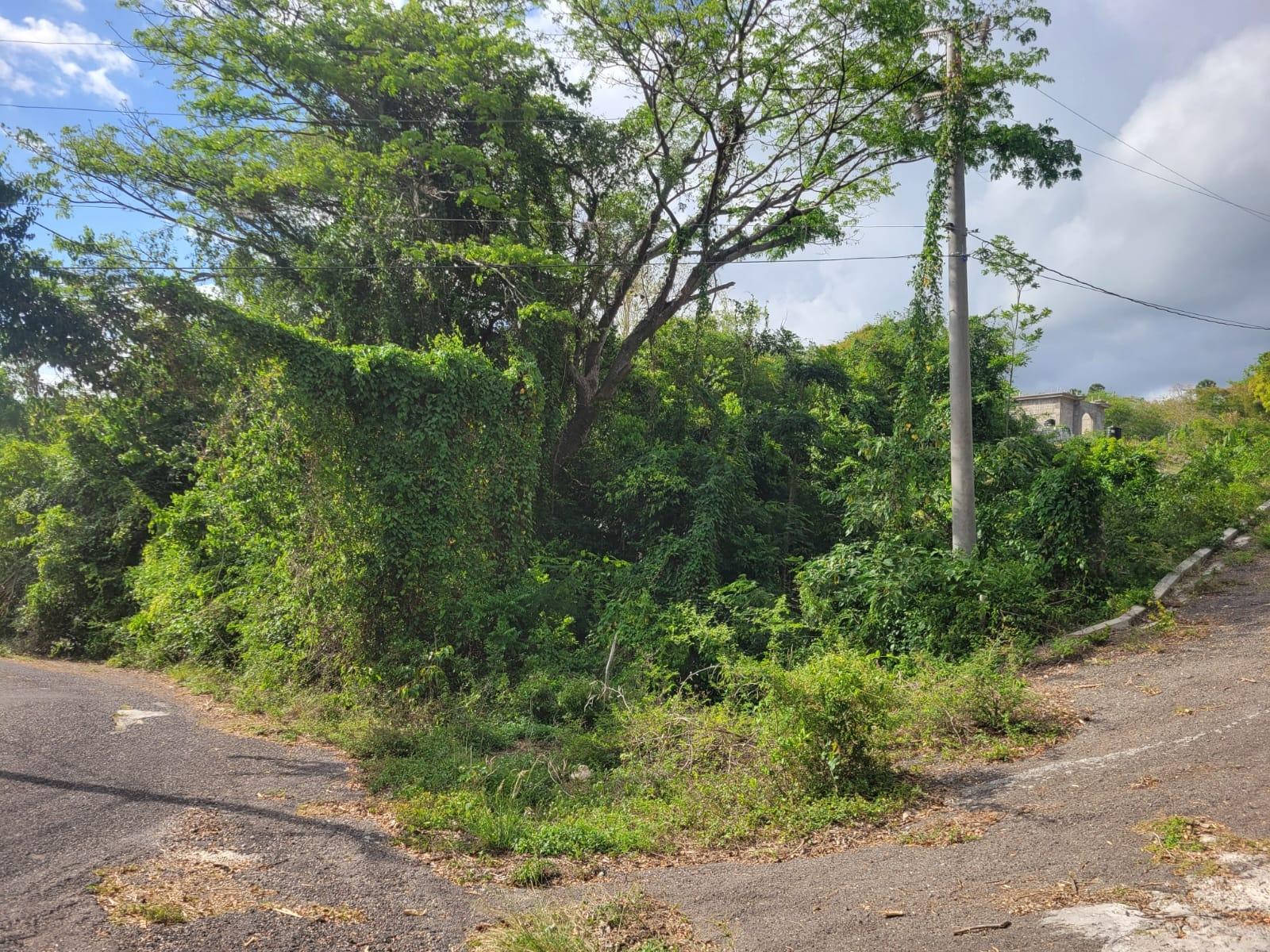 Third image of 364 Culloden in Culloden, Westmoreland, Jamaica - property is For Sale