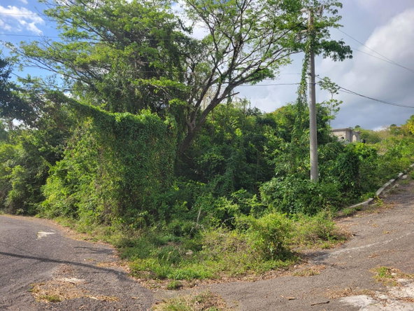 Third image of 364 Culloden in Culloden, Westmoreland, Jamaica - property is For Sale