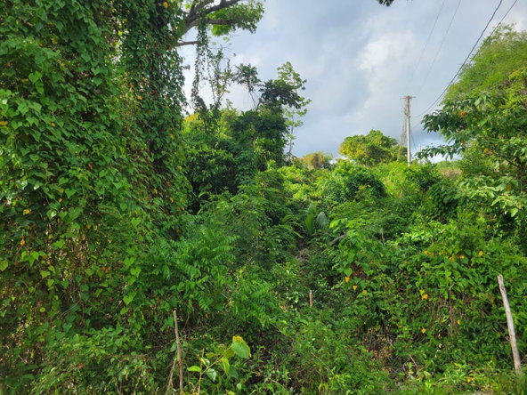 Fourth image of 364 Culloden in Culloden, Westmoreland, Jamaica - property is For Sale
