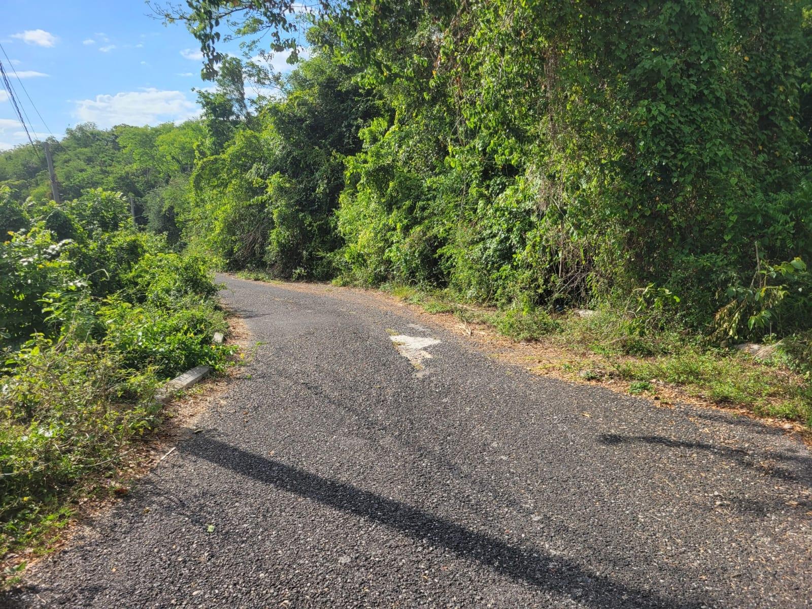 Fifth image of 364 Culloden in Culloden, Westmoreland, Jamaica - property is For Sale