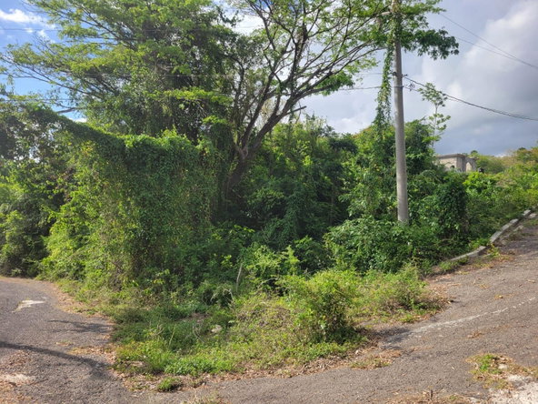 Sixth image of 364 Culloden in Culloden, Westmoreland, Jamaica - property is For Sale