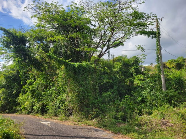 Eighth image of 364 Culloden in Culloden, Westmoreland, Jamaica - property is For Sale