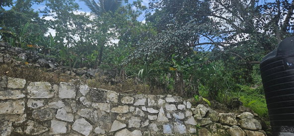 Sixteenth image of Darliston in Darliston, Westmoreland, Jamaica - property is For Sale