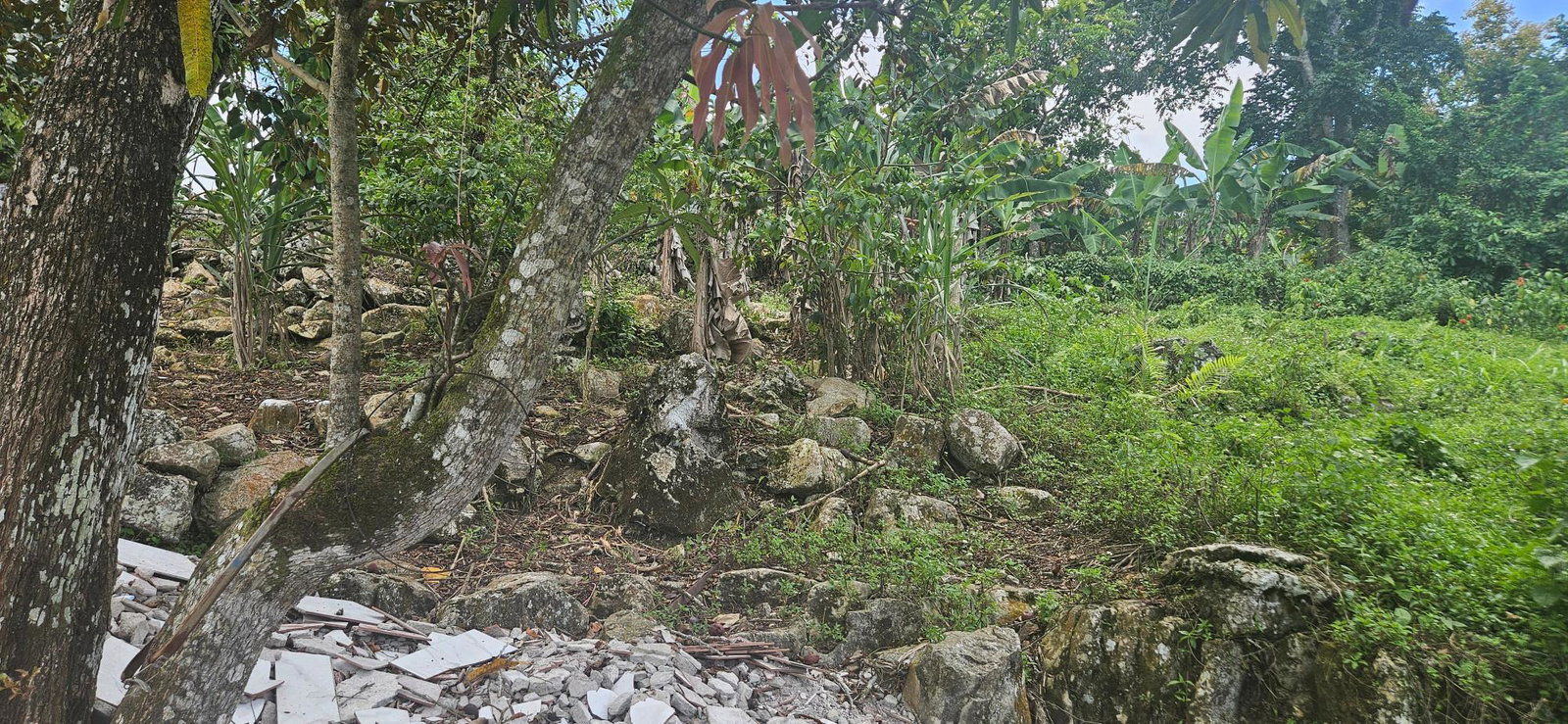 Seventeenth image of Darliston in Darliston, Westmoreland, Jamaica - property is For Sale