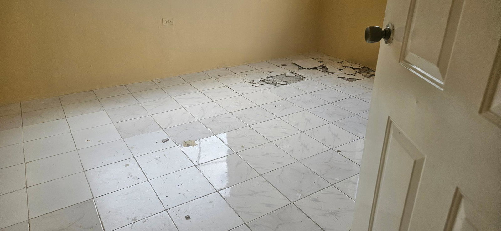 Twenty-Fourth image of Darliston in Darliston, Westmoreland, Jamaica - property is For Sale