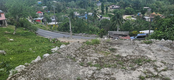 Twenty-Sixth image of Darliston in Darliston, Westmoreland, Jamaica - property is For Sale
