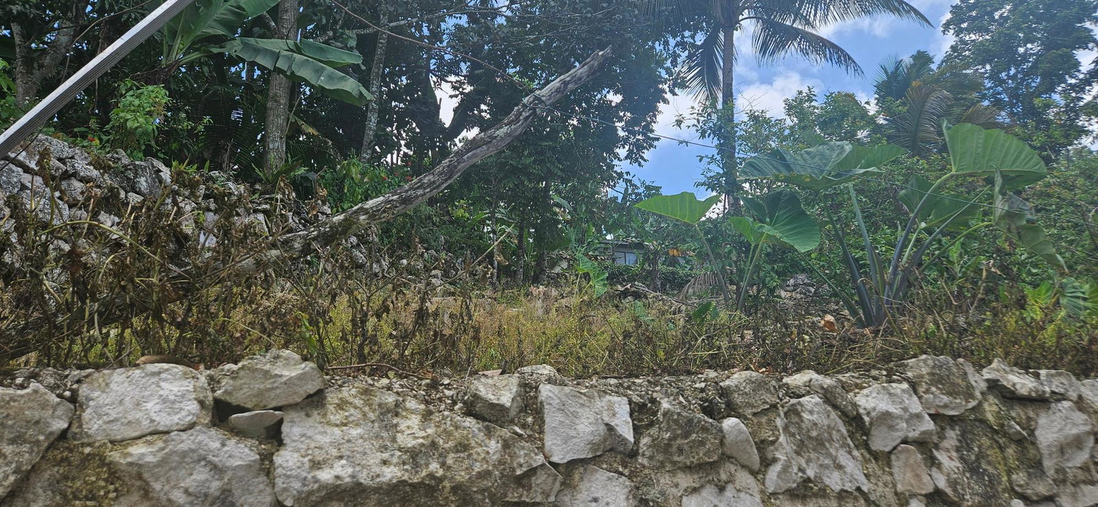 Twenty-Eighth image of Darliston in Darliston, Westmoreland, Jamaica - property is For Sale