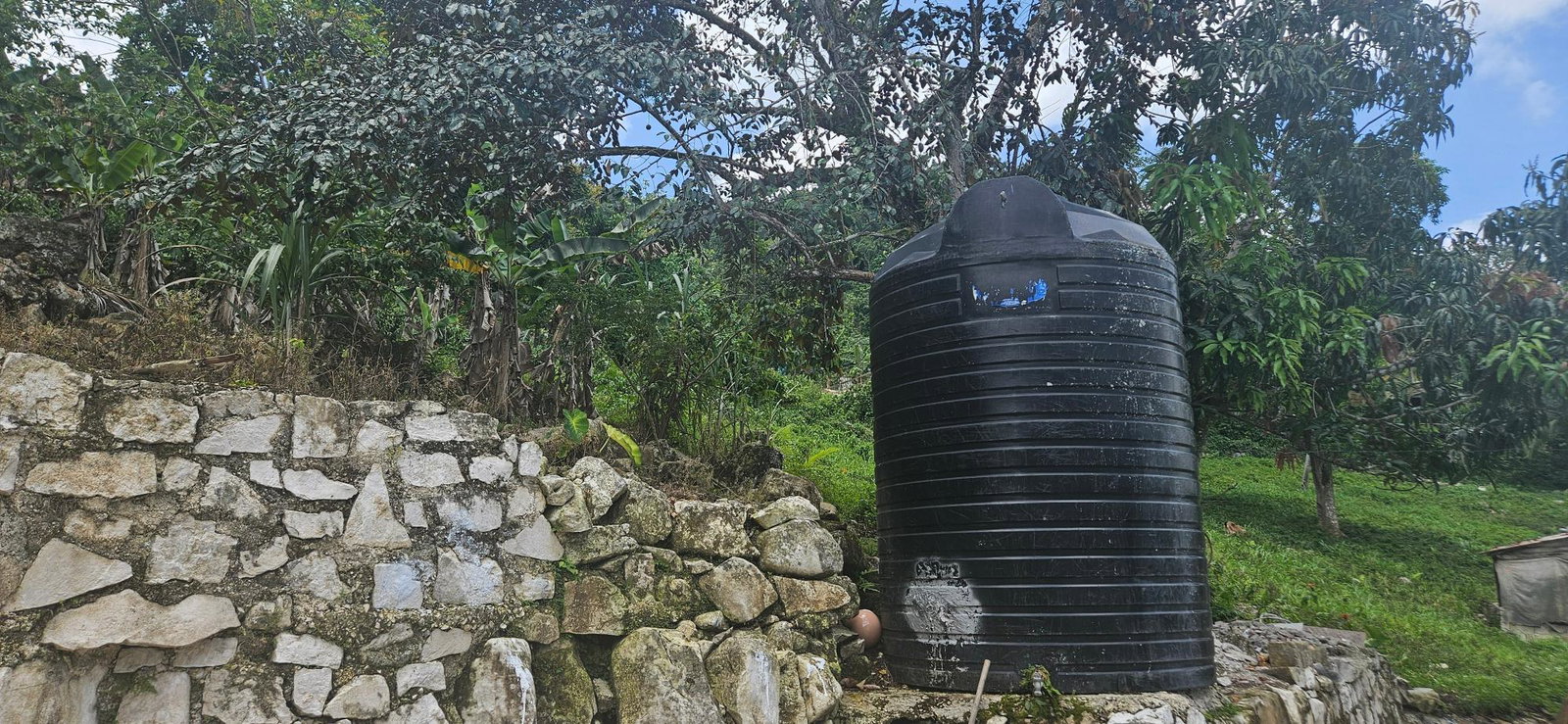 Thirtieth image of Darliston in Darliston, Westmoreland, Jamaica - property is For Sale