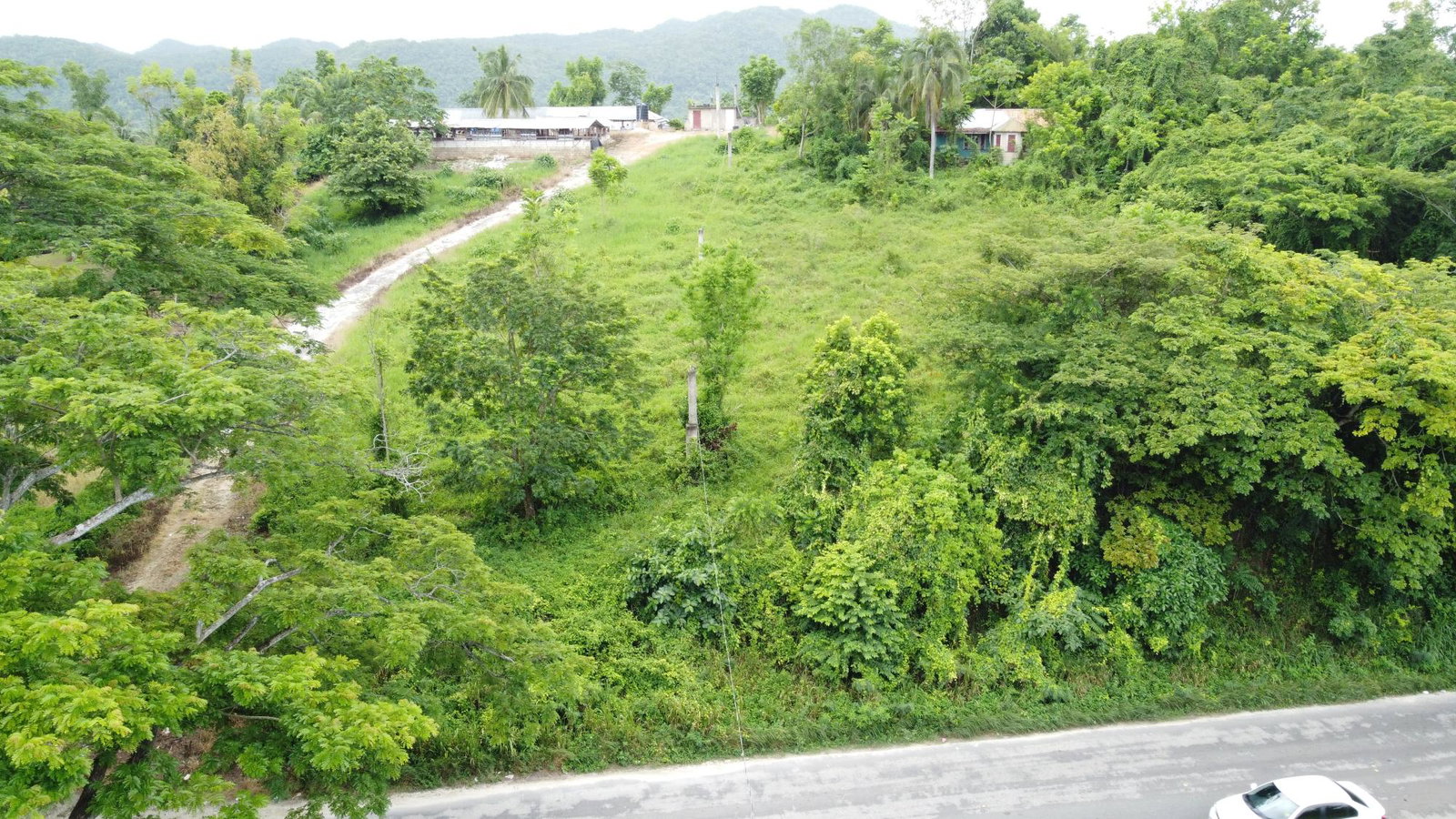 Second image of Springfield, Westmoreland in Springfield, Westmoreland, Jamaica - property is For Sale