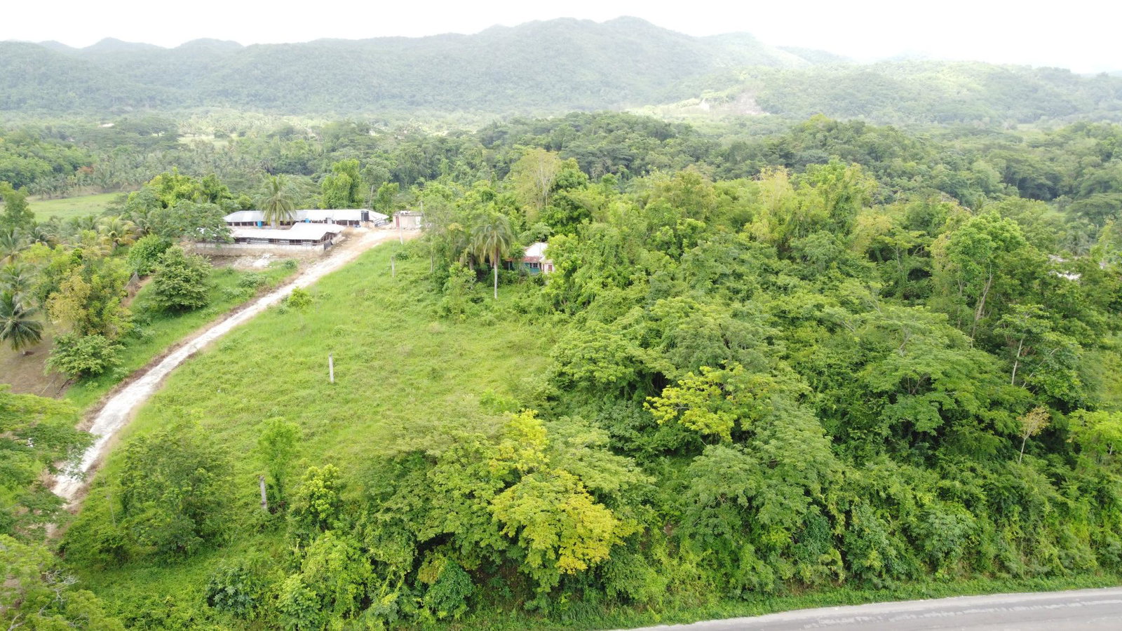 Third image of Springfield, Westmoreland in Springfield, Westmoreland, Jamaica - property is For Sale