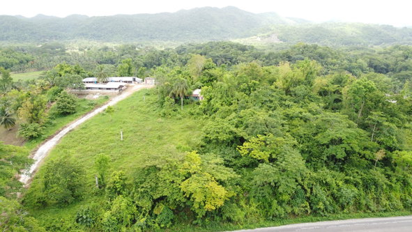 Third image of Springfield, Westmoreland in Springfield, Westmoreland, Jamaica - property is For Sale