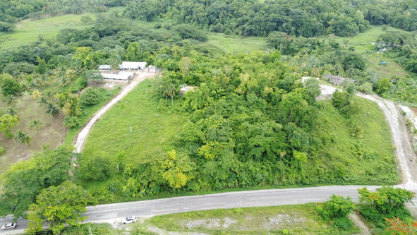 Sixth image of Springfield, Westmoreland in Springfield, Westmoreland, Jamaica - property is For Sale