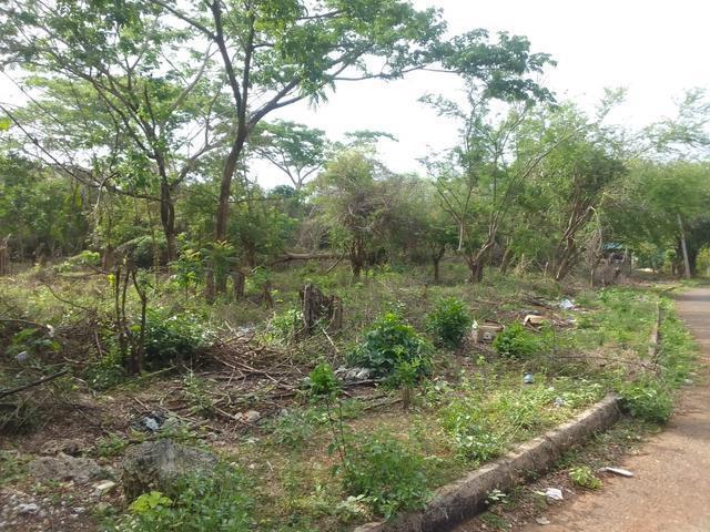 First image of White Hall Block 7 in Whitehall, Westmoreland, Jamaica - property is For Sale