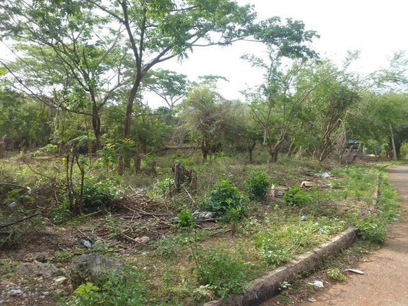 First image of White Hall Block 7 in Whitehall, Westmoreland, Jamaica - property is For Sale