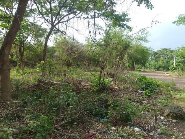 Second image of White Hall Block 7 in Whitehall, Westmoreland, Jamaica - property is For Sale