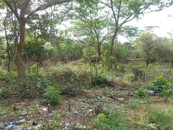 Fourth image of White Hall Block 7 in Whitehall, Westmoreland, Jamaica - property is For Sale