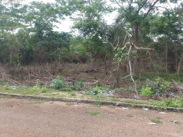Fifth image of White Hall Block 7 in Whitehall, Westmoreland, Jamaica - property is For Sale