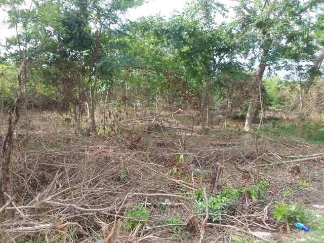 Sixth image of White Hall Block 7 in Whitehall, Westmoreland, Jamaica - property is For Sale