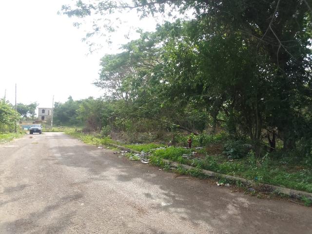 Seventh image of White Hall Block 7 in Whitehall, Westmoreland, Jamaica - property is For Sale
