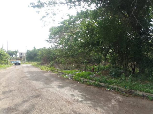 Seventh image of White Hall Block 7 in Whitehall, Westmoreland, Jamaica - property is For Sale