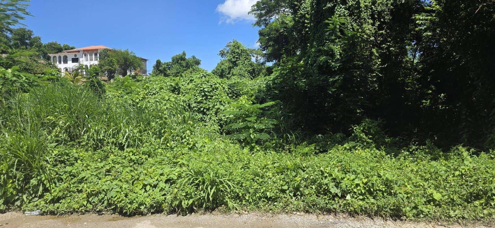 First image of Haskette Road in Negril, Westmoreland, Jamaica - property is For Sale
