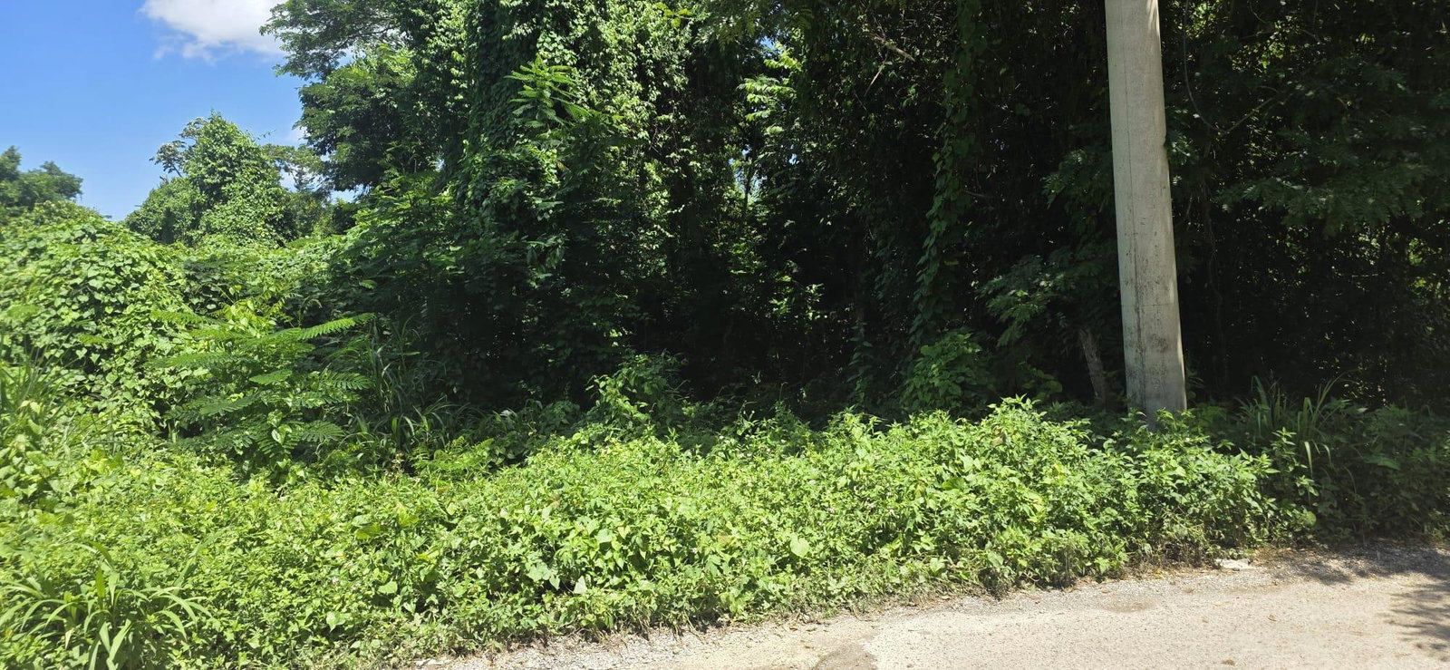 Second image of Haskette Road in Negril, Westmoreland, Jamaica - property is For Sale