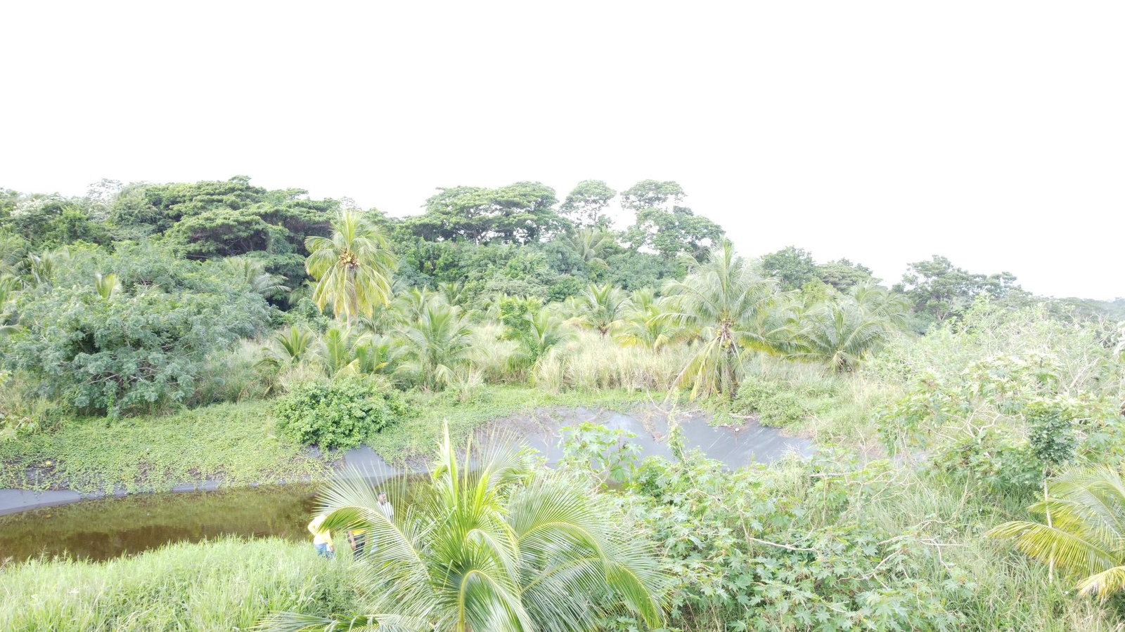 First image of 9-9 Bull Strode in BULSTRODD, Westmoreland, Jamaica - property is For Sale
